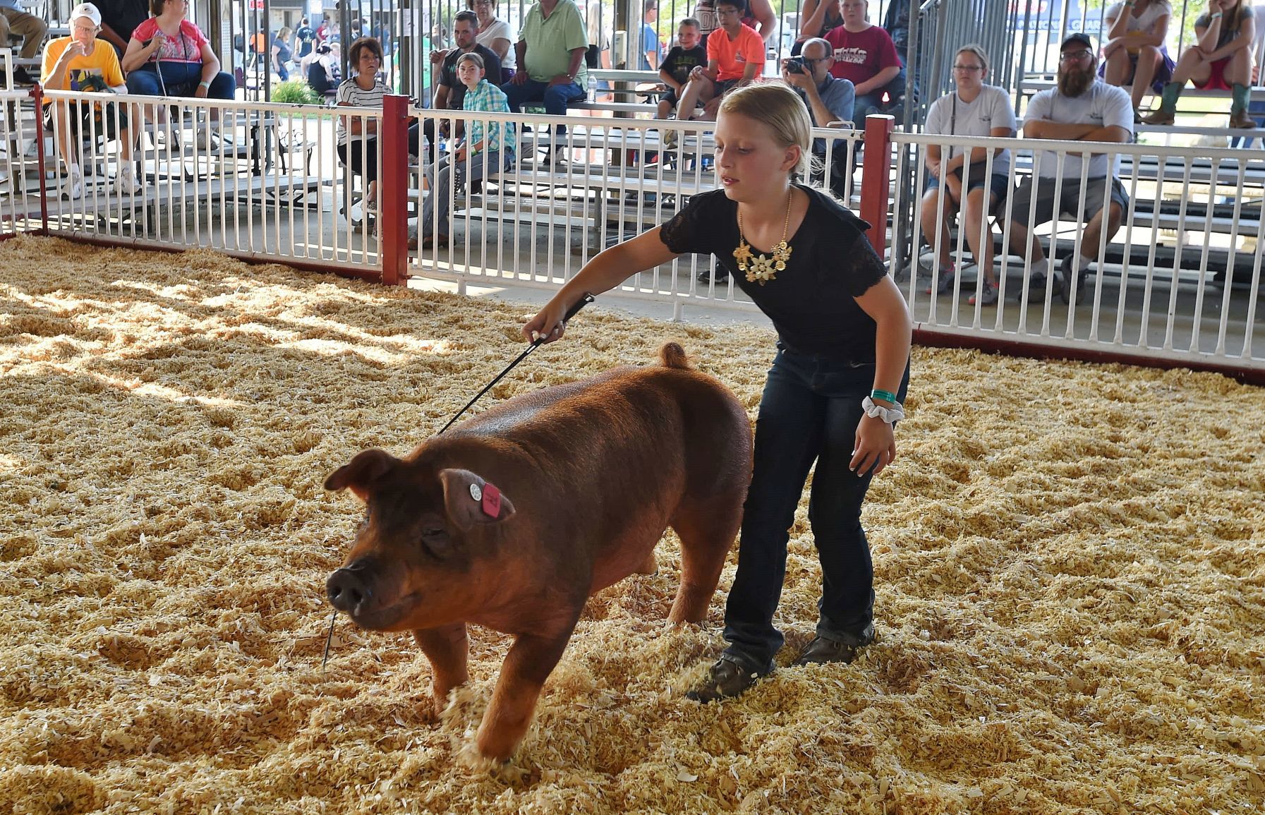 Racine County Fair 2019